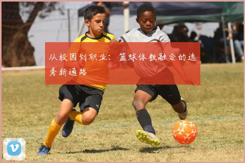 从校园到职业：篮球体教融合的选秀新通路