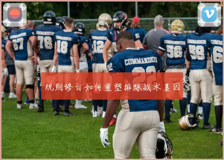 规则修订如何重塑排球战术基因