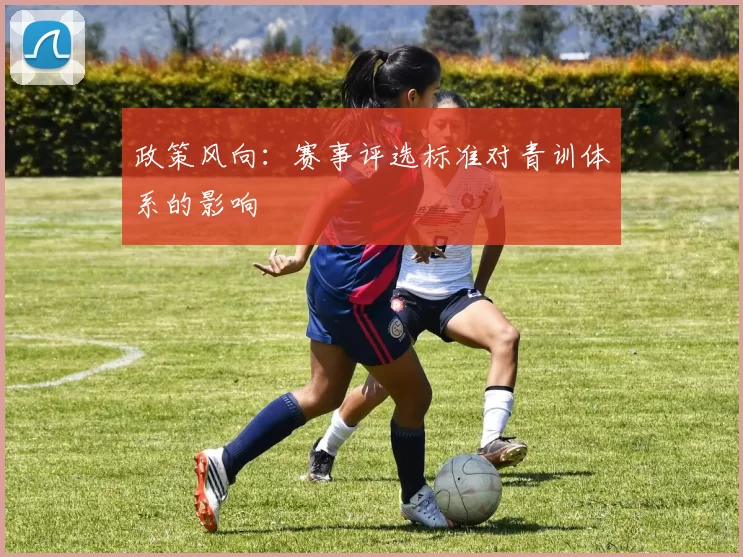 政策风向：赛事评选标准对青训体系的影响