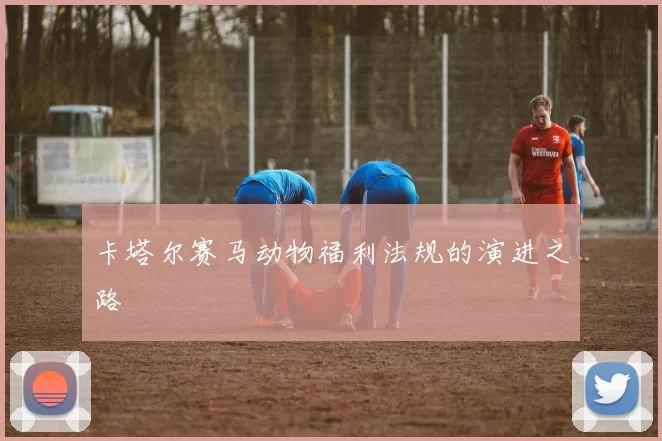 卡塔尔赛马动物福利法规的演进之路